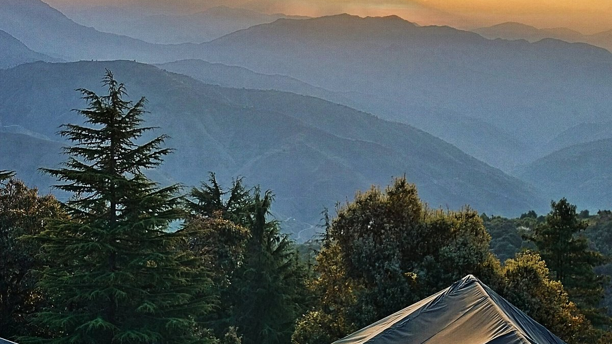 Forest-Edge Dining Deck Surrounded by Deodar Pines